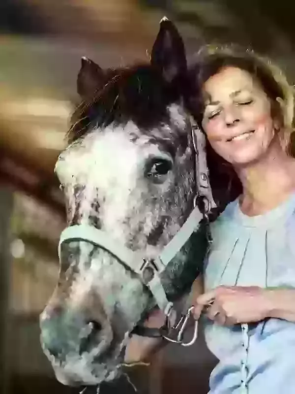 Why choose Phoenix Pet Cremations for your horse?